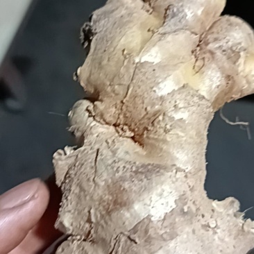 小黄姜干姜