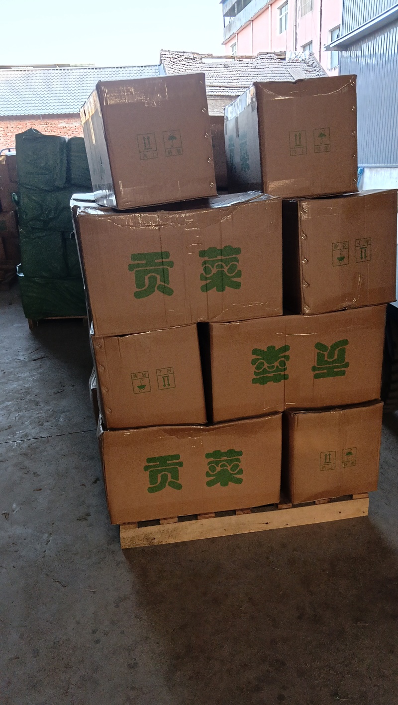 义门贡菜