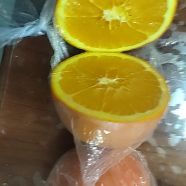 桂林全州脐橙