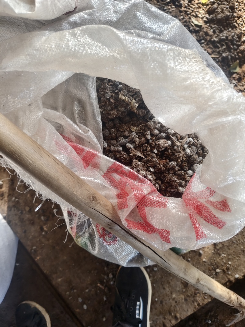 大量卖羊粪有机肥料自己来装2块钱一袋