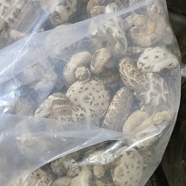 随州干花菇