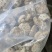 随州干花菇