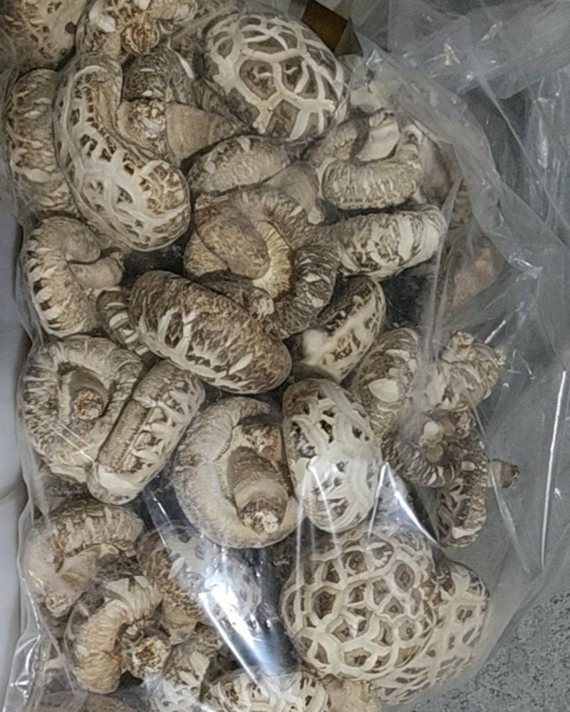 随州干花菇