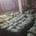 西瓜红种薯（1~6两）