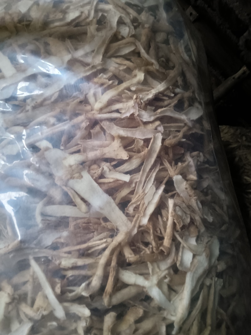 湘玉竹过筛大皮子，