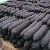 冬瓜