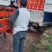 奉节脐橙纽荷尔品种橙通货