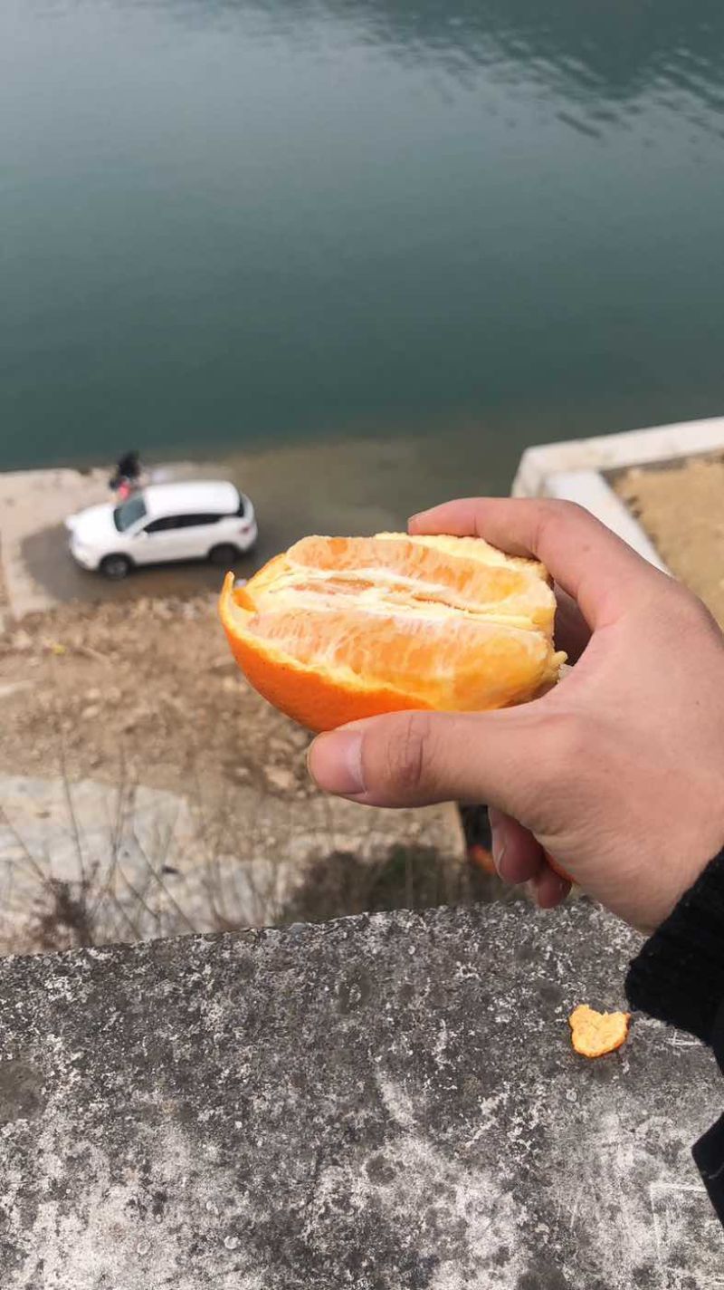 秭归伦晚