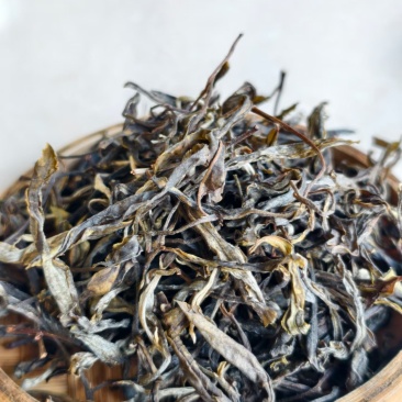 老树普洱散茶