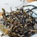 老树普洱散茶