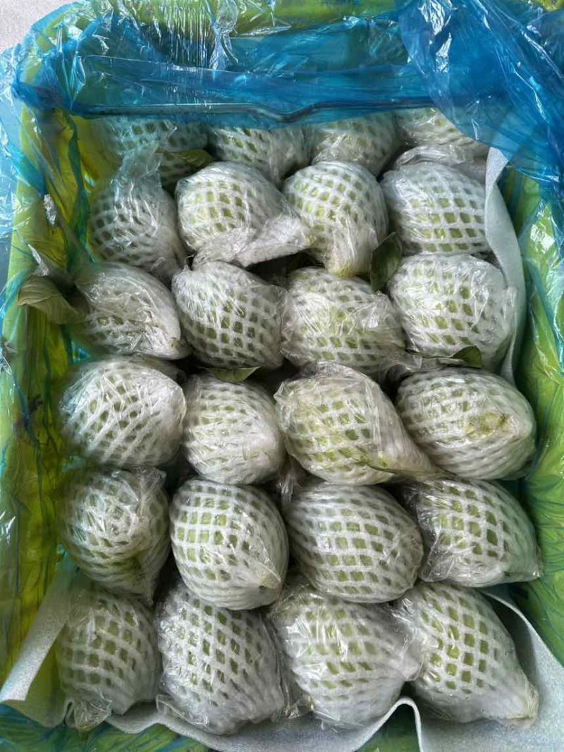 番石榴