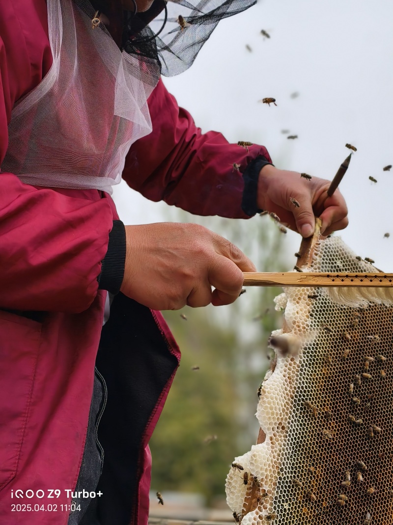 我要卖蜂蜜