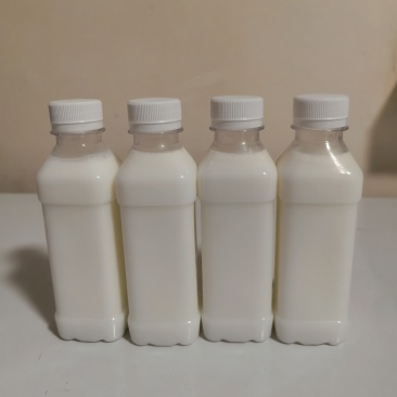 新疆鲜驴奶，农户自有牧场，***，今天挤冷冻后明天发货。