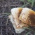 纯野生蜂蜜，***，野外放养，不喂糖