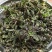 电商**:蒙山野生荠菜。新鲜上市。来个能打的。可定制，加工。