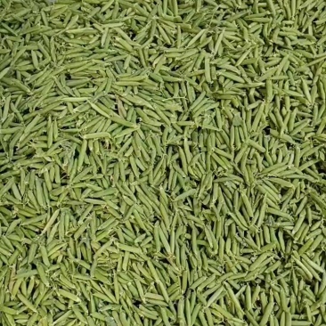 云南高山甜豌豆