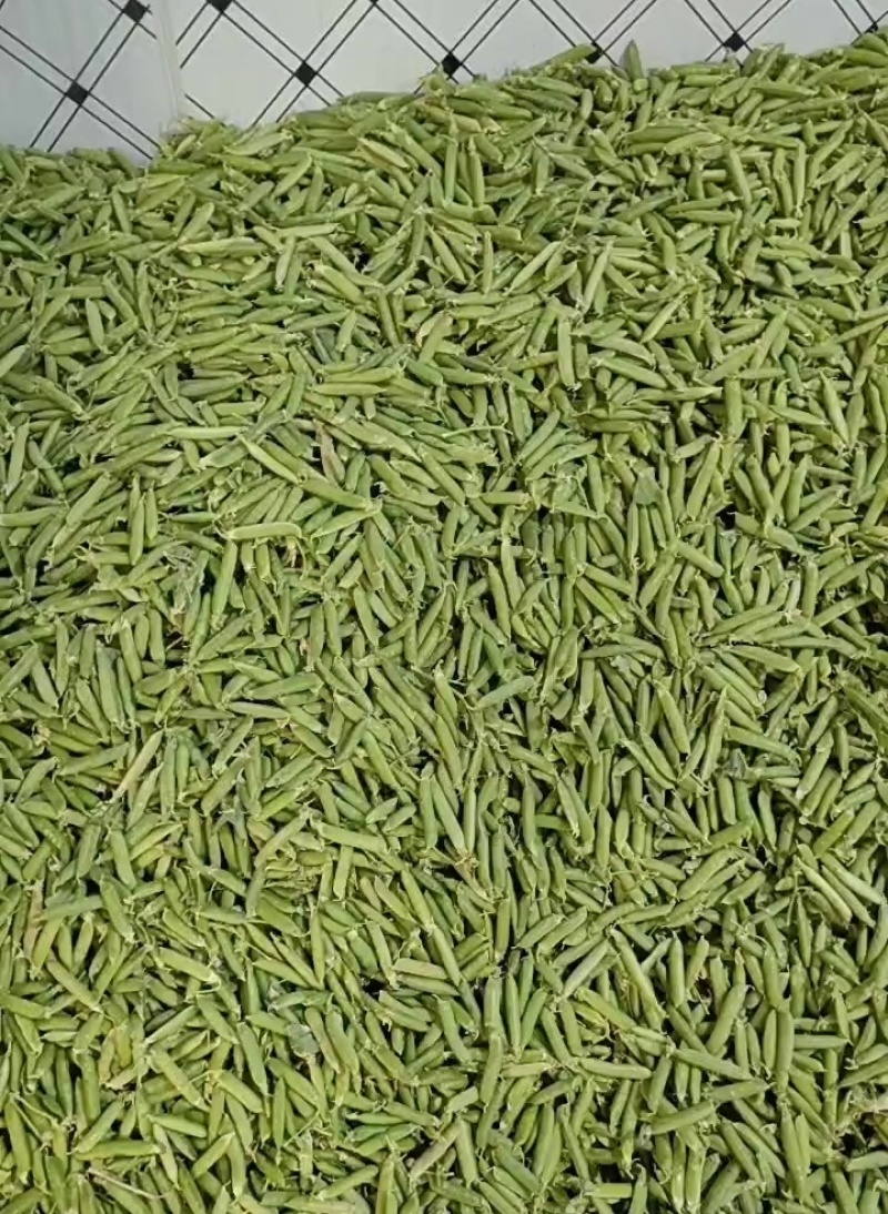 云南高山甜豌豆
