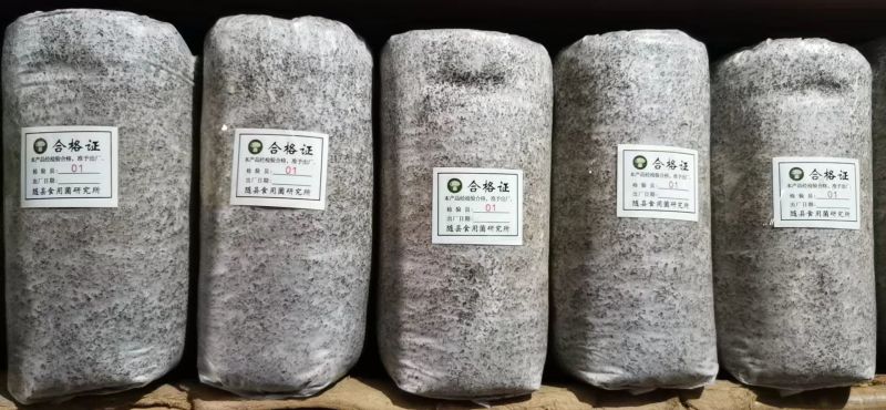 香菇菌种菌棒、黑木耳菌种菌棒，灵芝、天麻、菌种菌包。