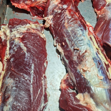 河北张家口新鲜牛肉基地养殖活牛现宰现杀质量保证部位可选