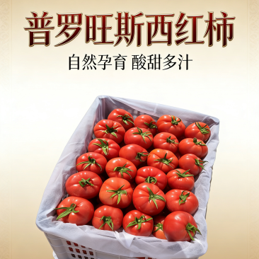 青铜峡普罗旺斯西红柿