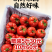 青铜峡普罗旺斯西红柿