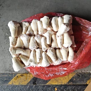 肥猪尾丁