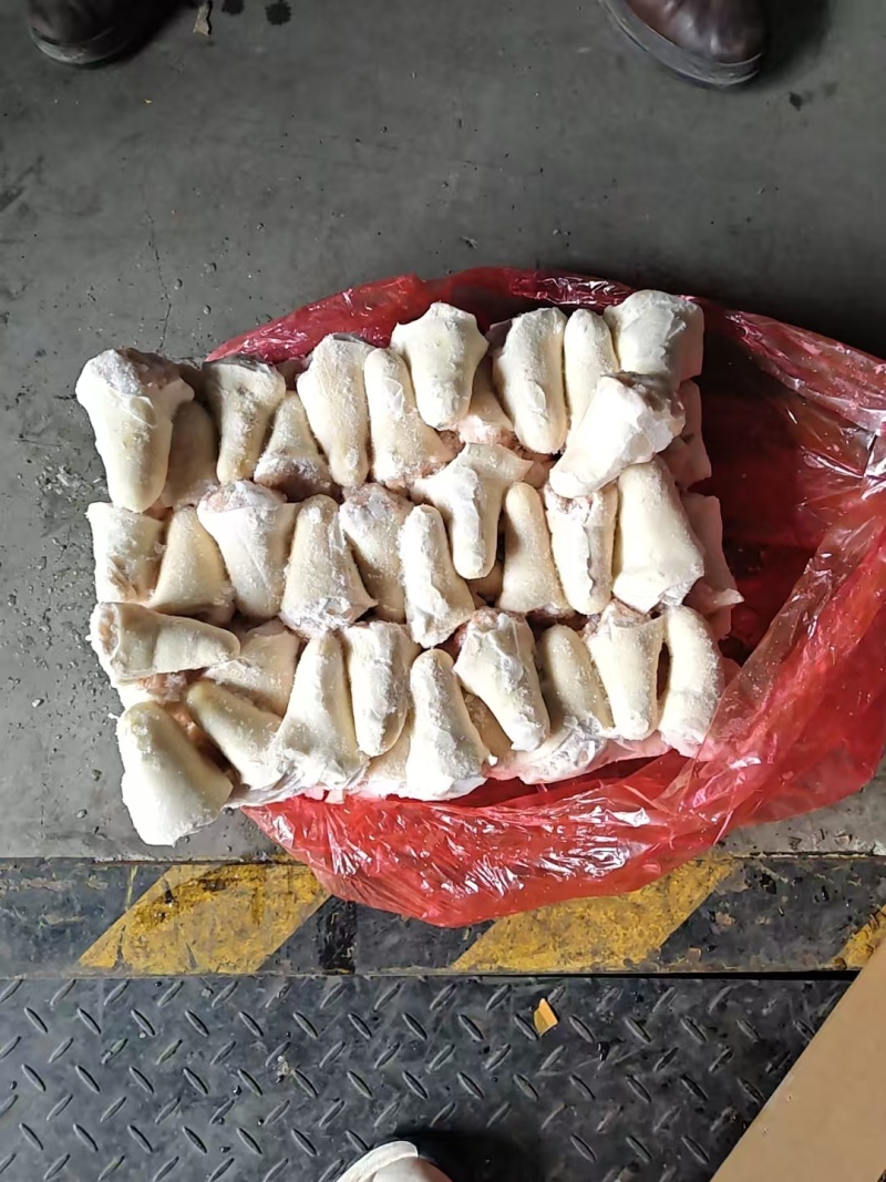 肥猪尾丁