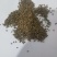 苦荞