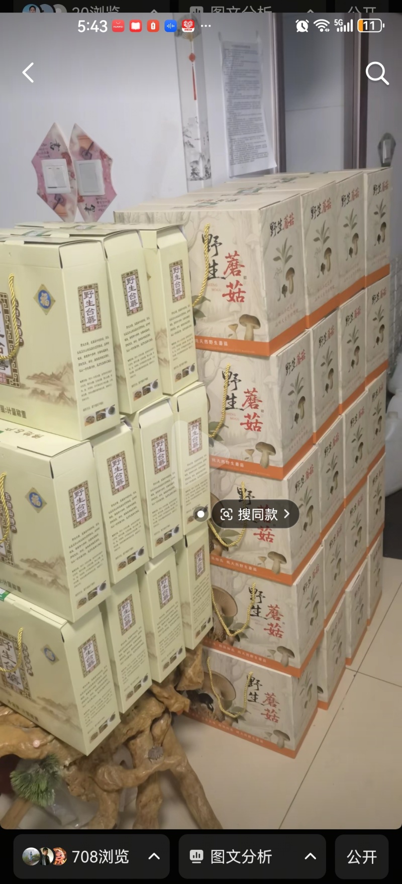 高海拔纯野生山蘑