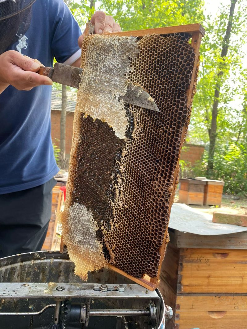 正宗延安洋槐蜜
