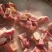 云南丽江腊排骨(青猪精排)