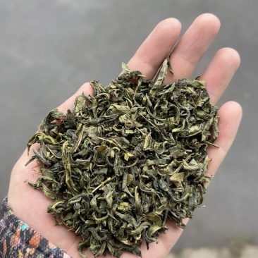 绿茶