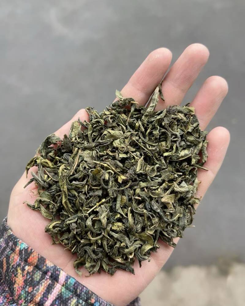 绿茶