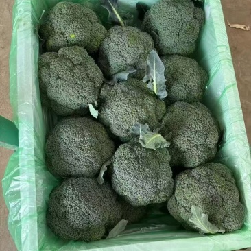 西蓝花