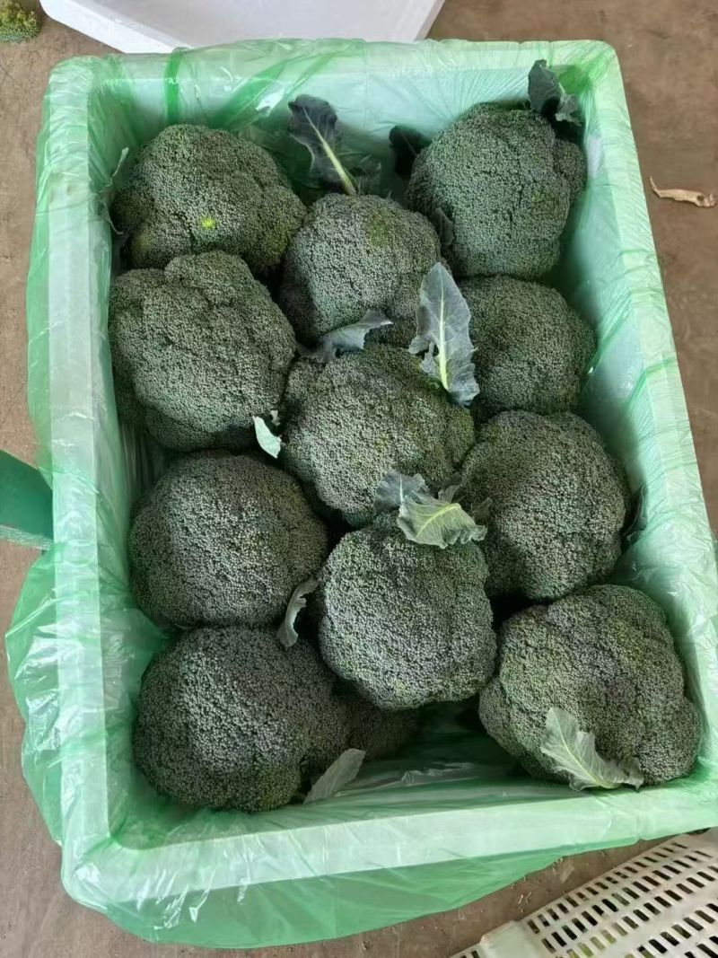西蓝花