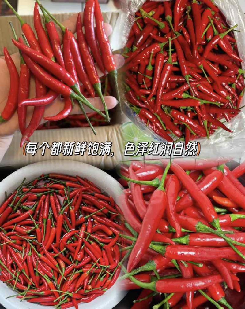 海南儋州：小米辣，1-20元价格以内。