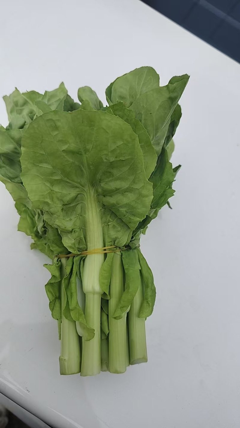 山东万亩叶菜产地季节性供应市场、电商快菜苔小白苔