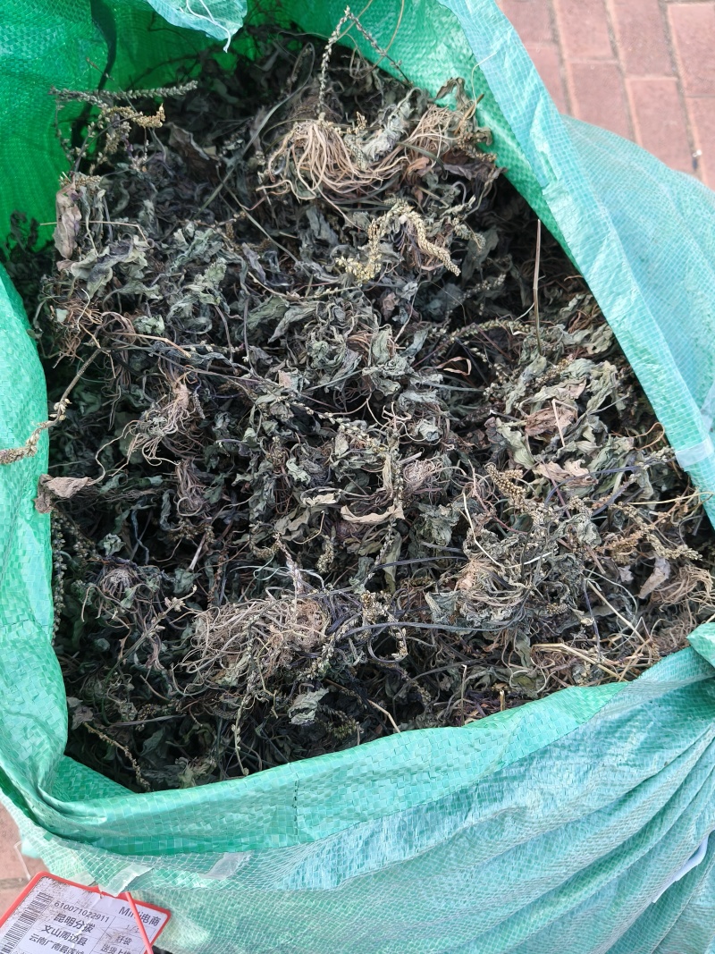 野生车前草水洗晒干全草包邮价