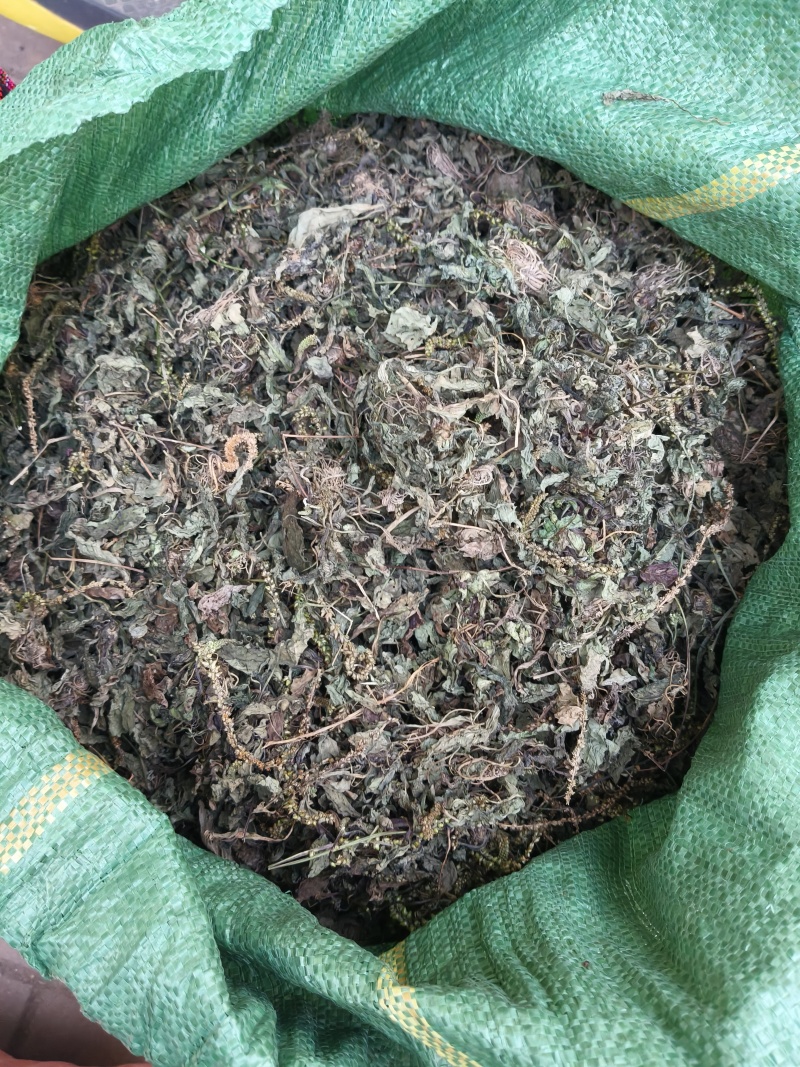 野生车前草水洗晒干全草包邮价