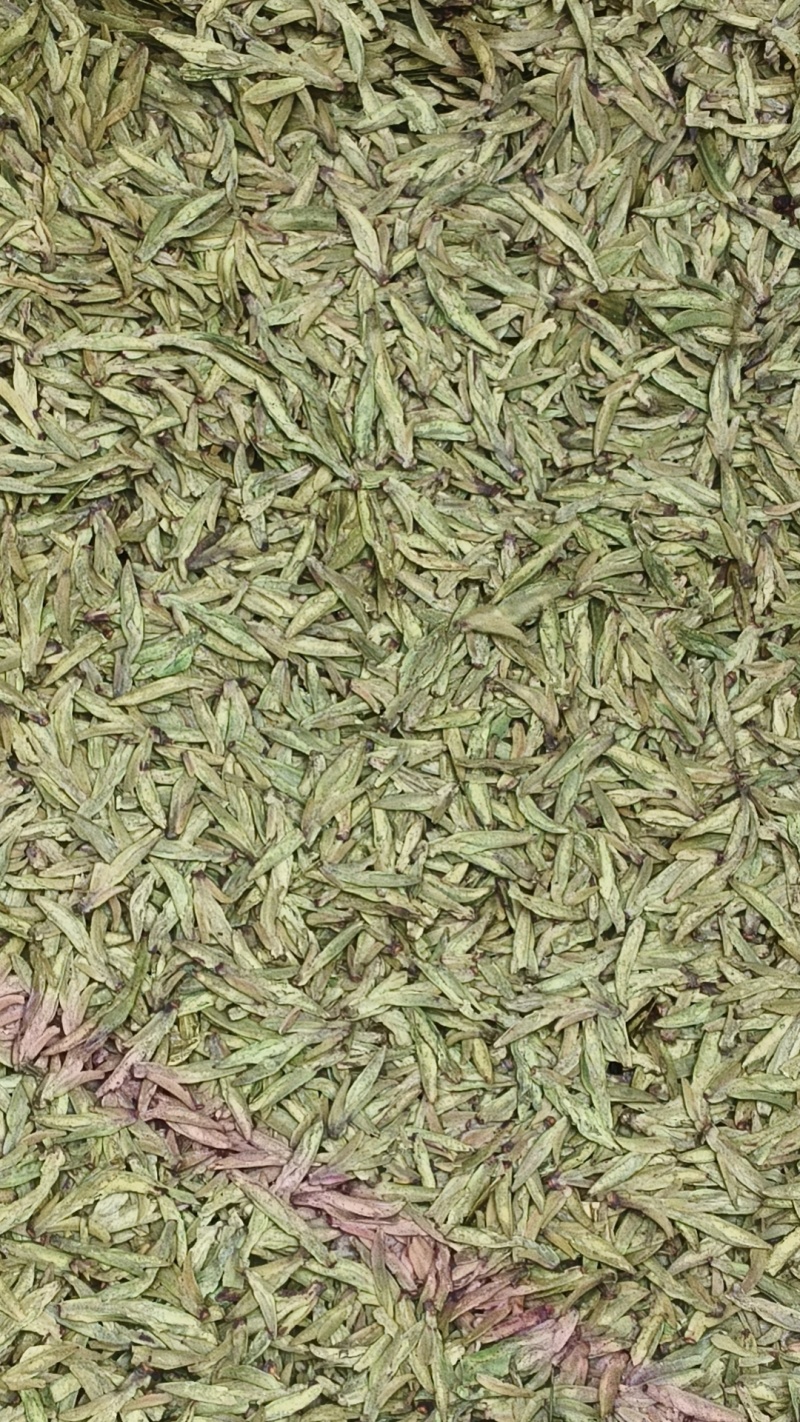 龙井毛尖，极白，奶白。安吉白，黄金芽等