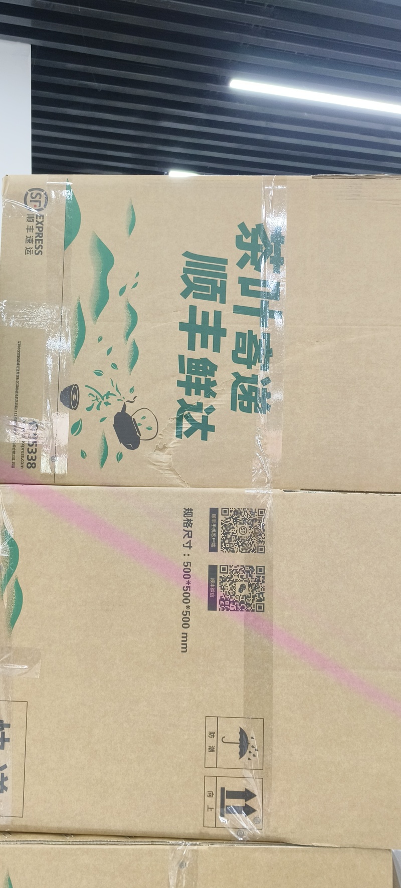 龙井毛尖，极白，奶白。安吉白，黄金芽等