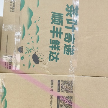 龙井毛尖，极白，奶白。安吉白，黄金芽等
