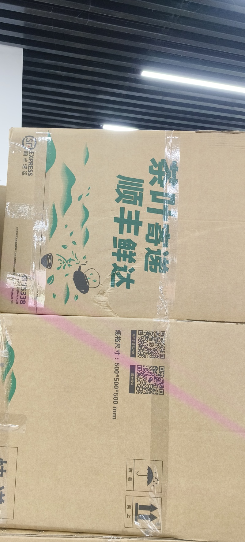 龙井毛尖，极白，奶白。安吉白，黄金芽等
