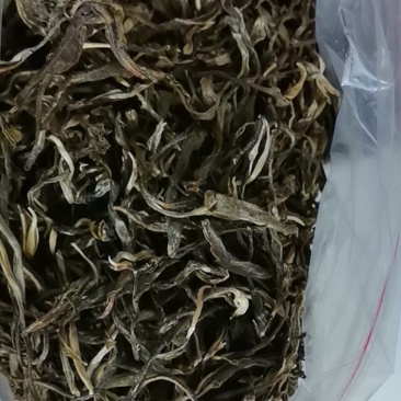 原生态绿茶叶