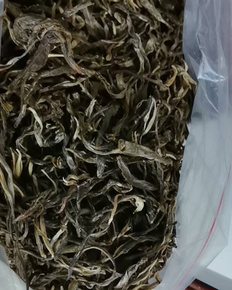 原生态绿茶叶