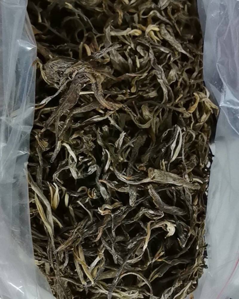 原生态绿茶叶