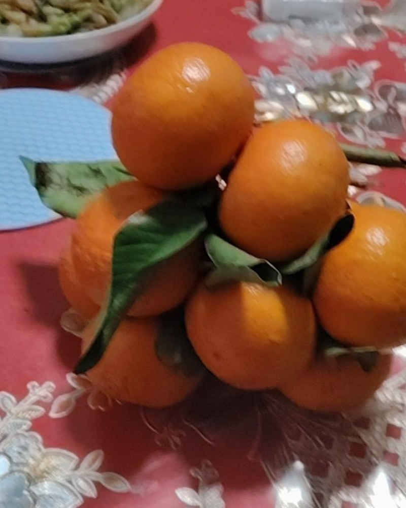 我有一万多沃柑要出售
