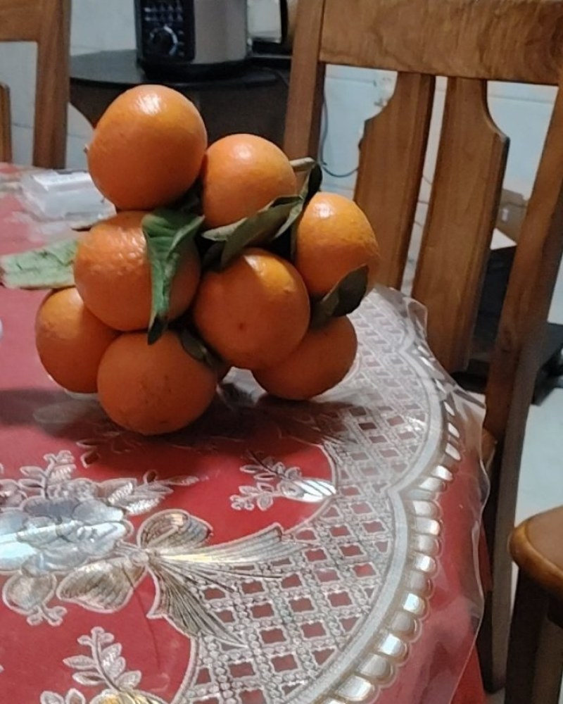 我有一万多沃柑要出售