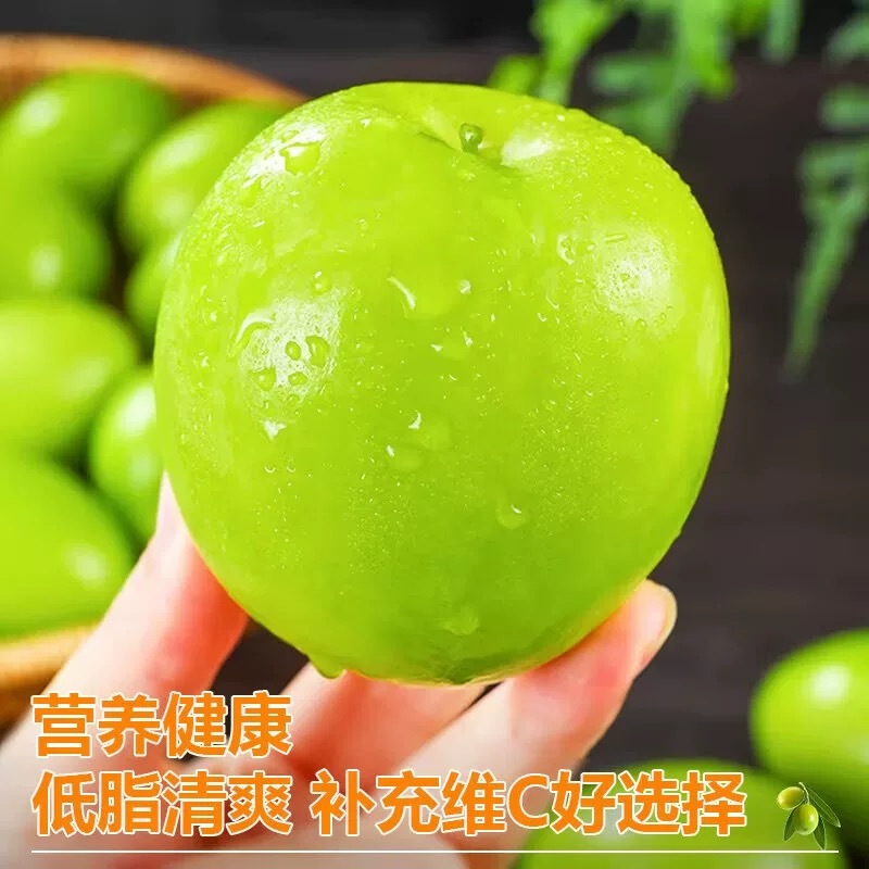 台湾牛奶青枣
