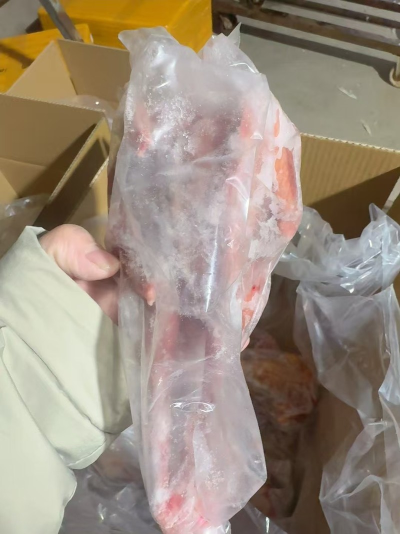 原粮鸽子